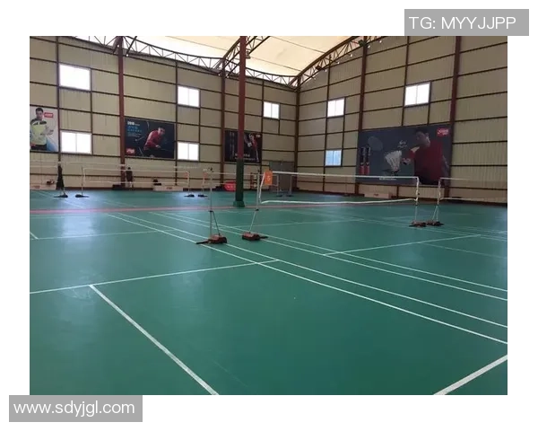 上海羽毛球队的管理模式与发展策略深度解析